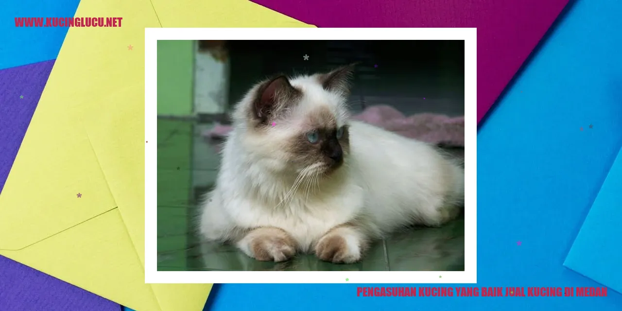 Kucing yang Sehat dan Bahagia