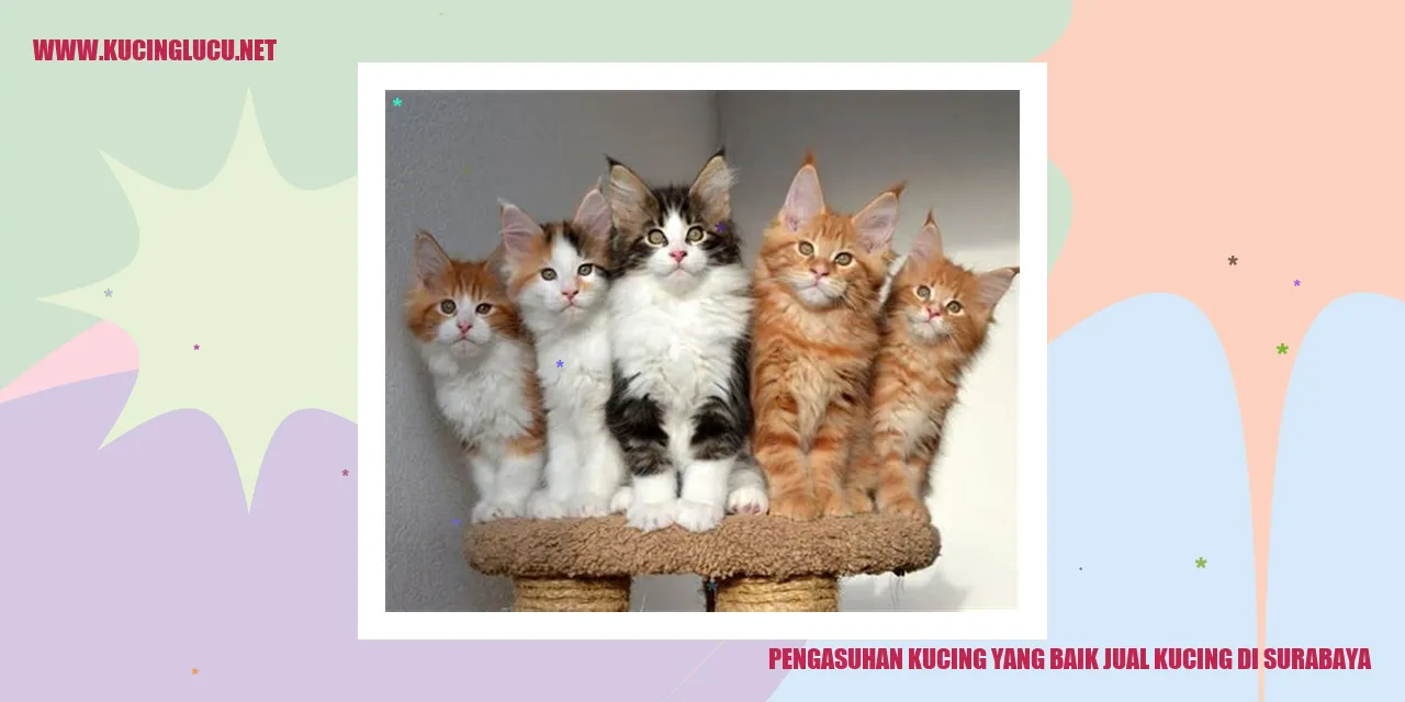 Gambar Kucing