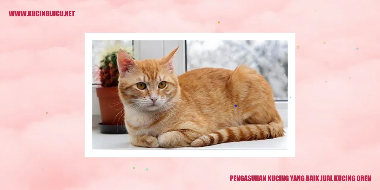 Kucing Menggemaskan