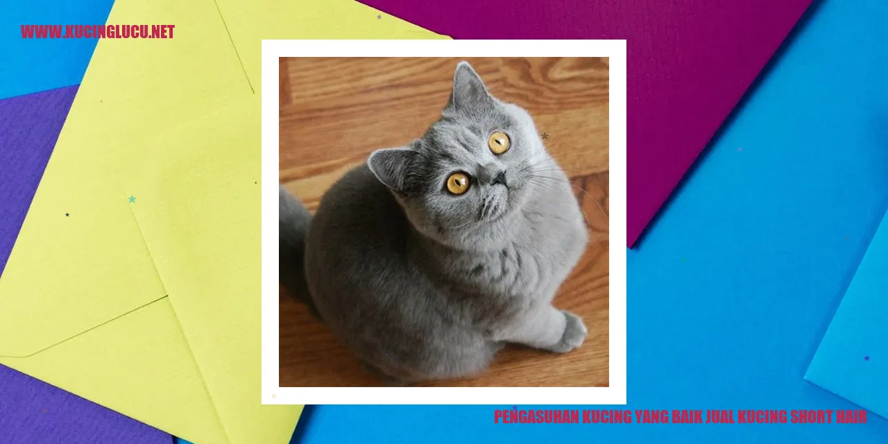 Kucing yang Baik