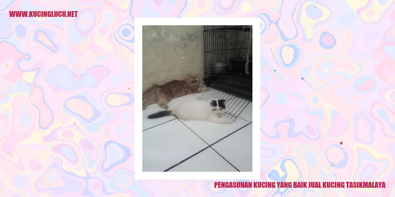 Kucing yang Sehat dan Bahagia