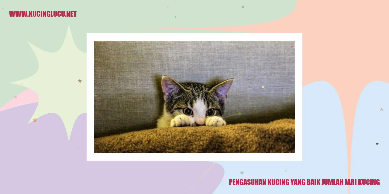 gambar kucing