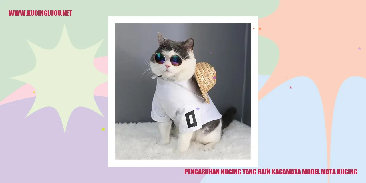 Gambar kucing