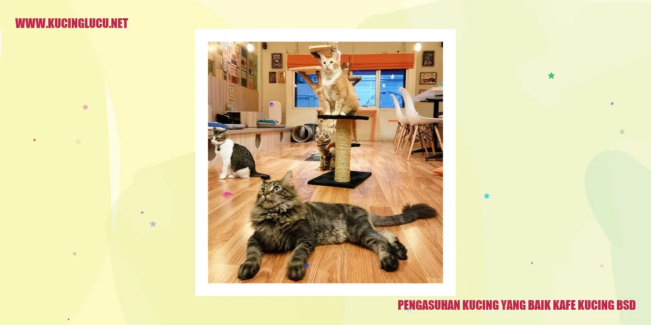 Kucing Lucu