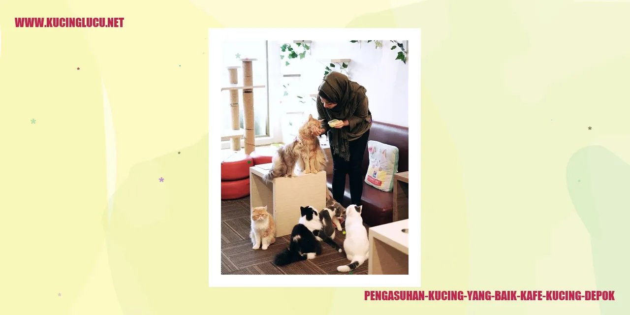 Pengasuhan Kucing yang Baik di Kafe Kucing Depok