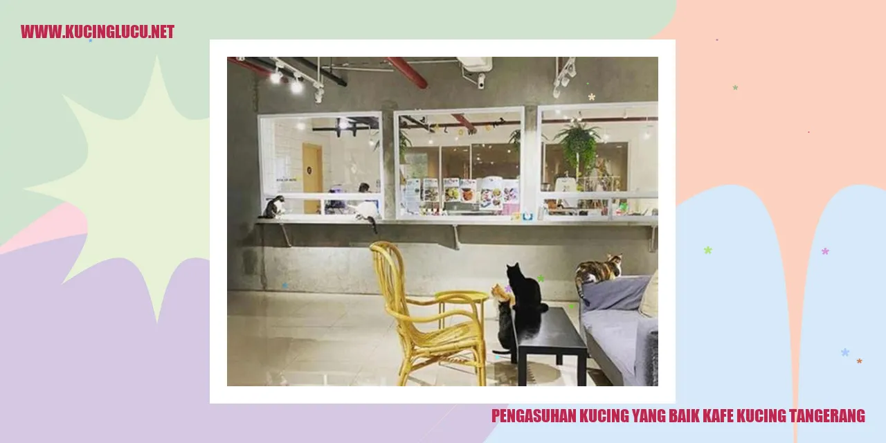 Kafe Kucing Tangerang