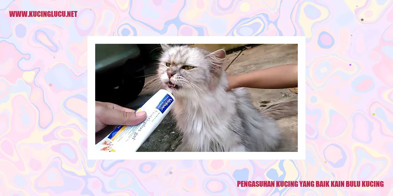Gambar Kucing Mengenakan Kain Bulu