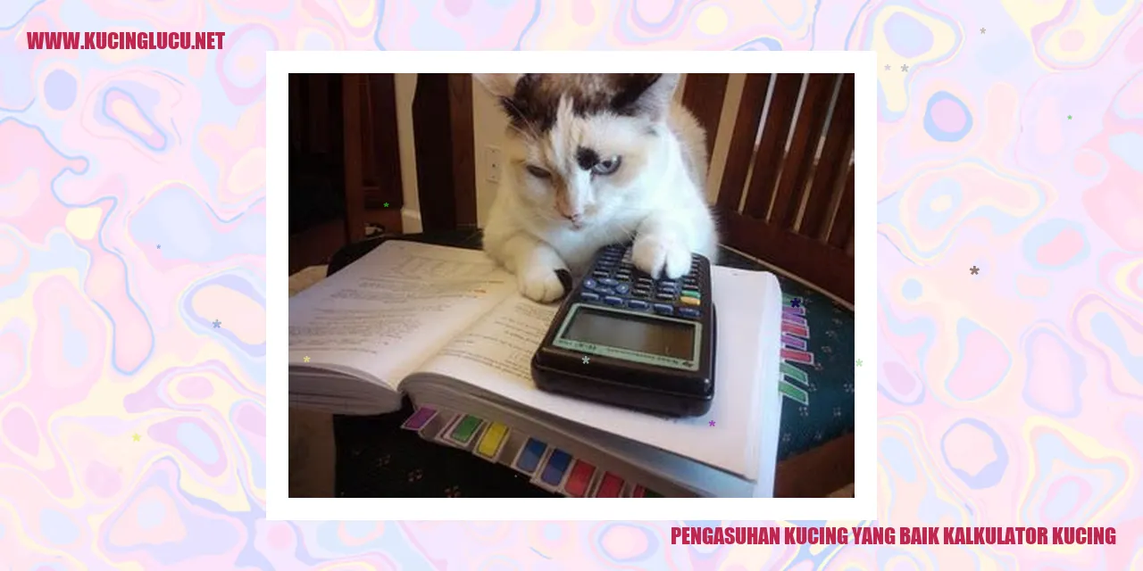 Gambar kucing