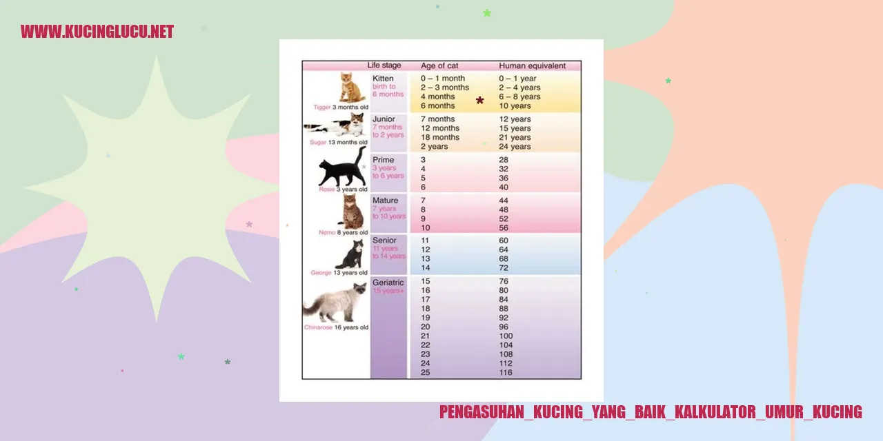 Pengasuhan Kucing yang Baik