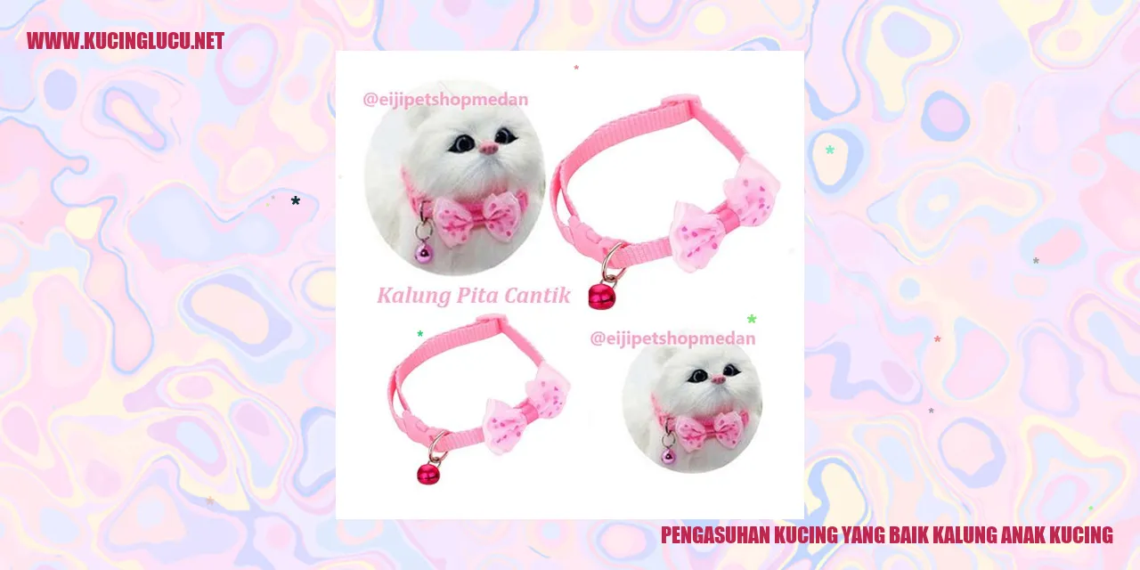 Kalung untuk Anak Kucing