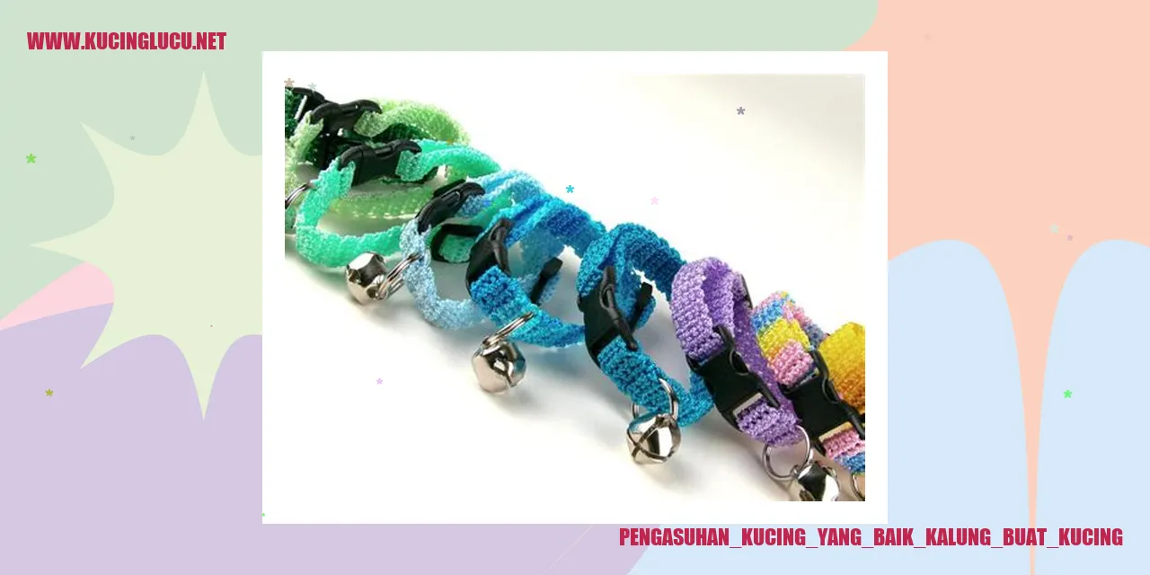 Kalung untuk kucing