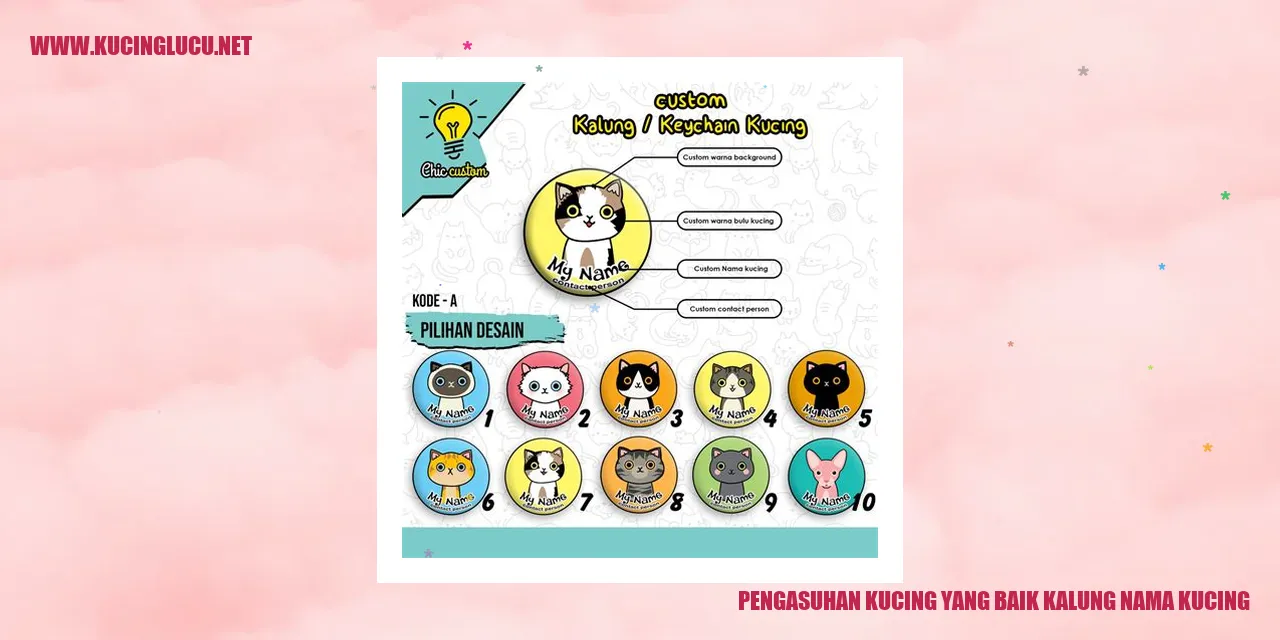 Gambar Kucing
