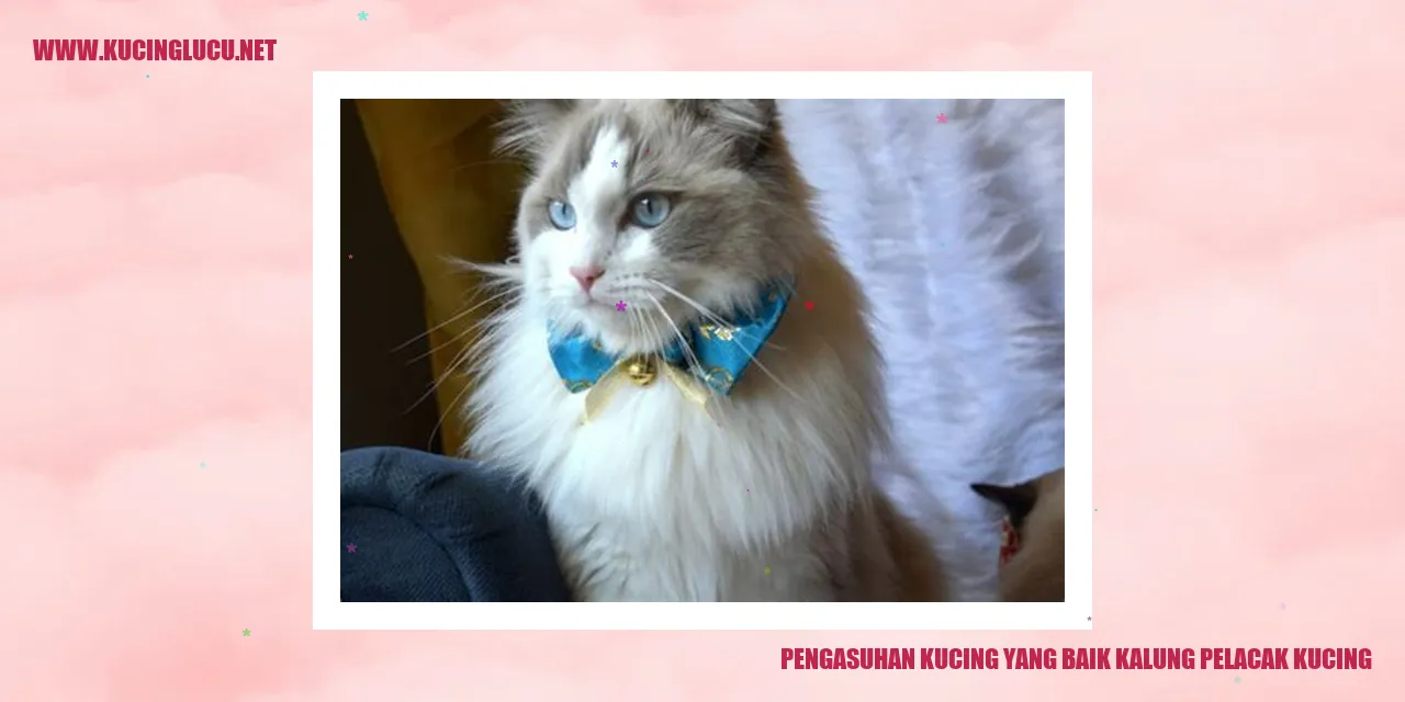 Kalung Pelacak Kucing