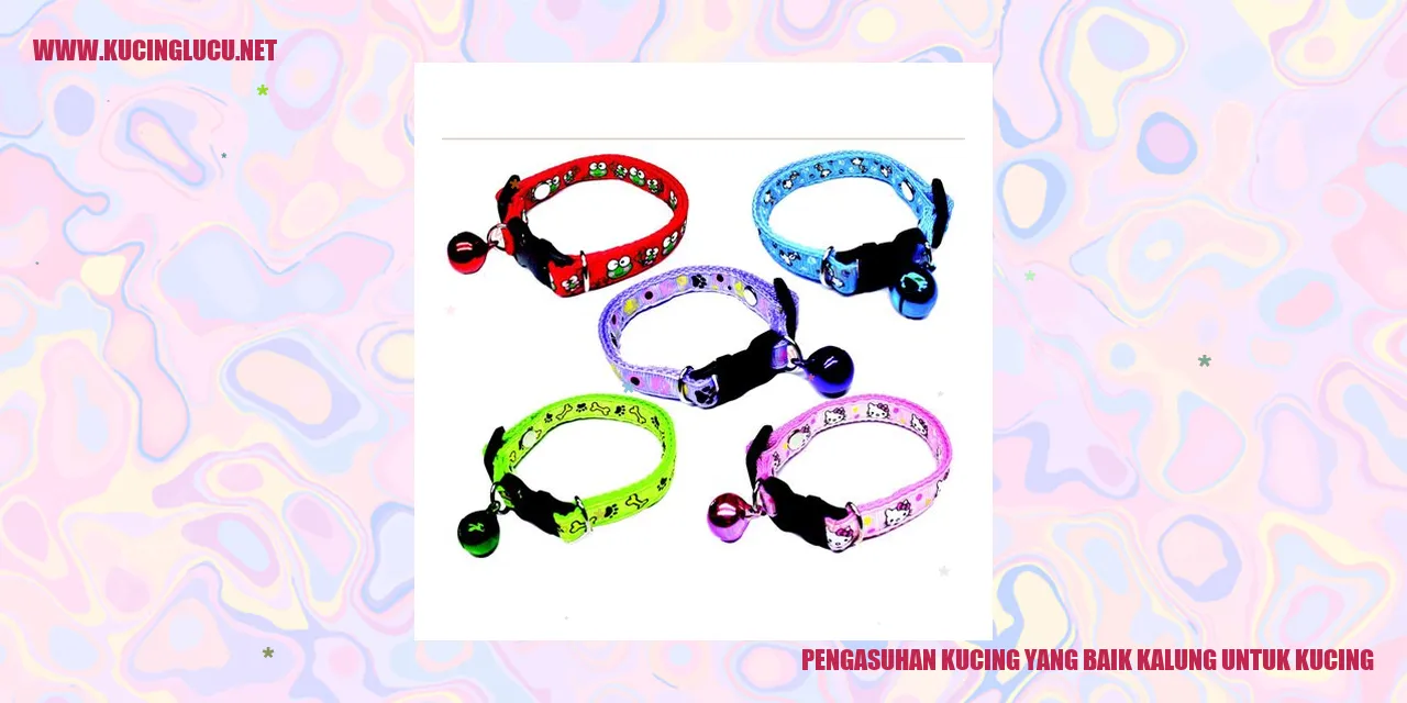 Kucing dengan kalung