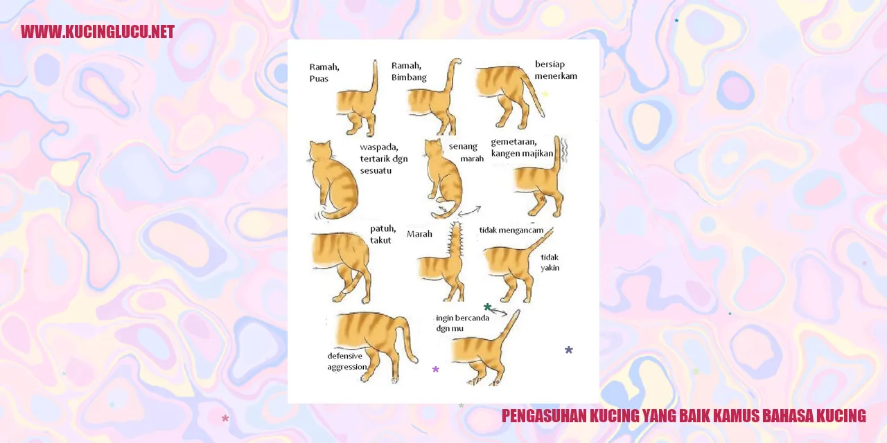 Kucing yang Sehat dan Bahagia
