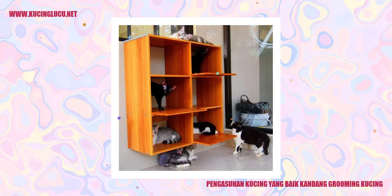 Kucing dalam kandang