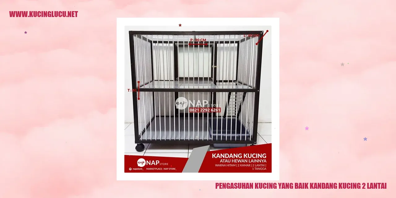 Kandang Kucing 2 Lantai