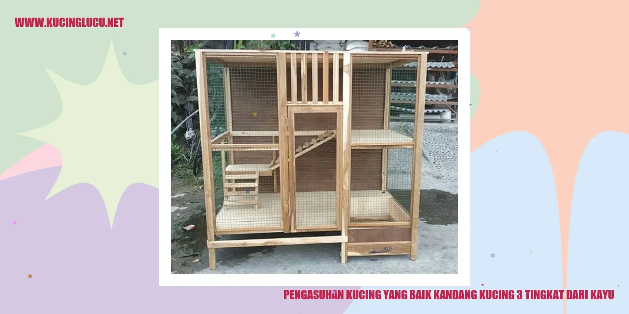 Gambar Kucing dalam Kandang Kayu