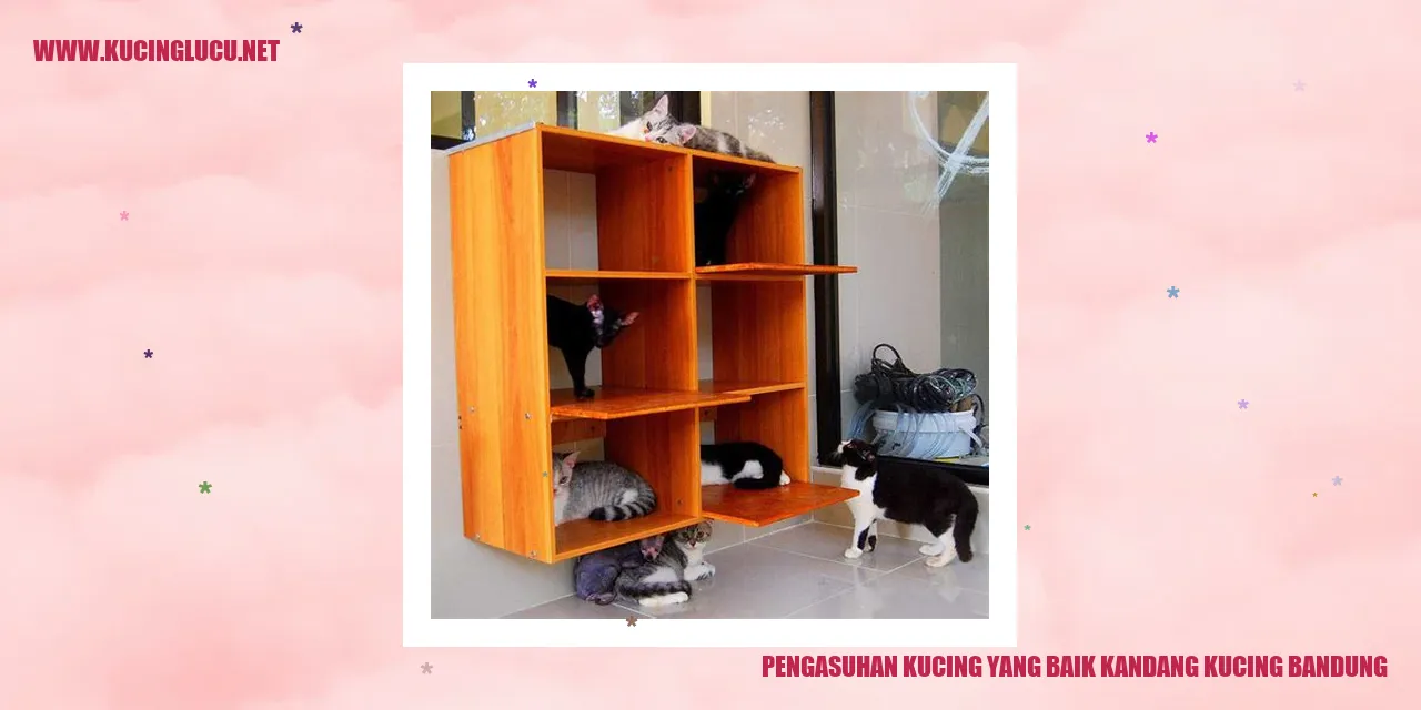 Pengasuhan Kucing yang Baik di Bandung