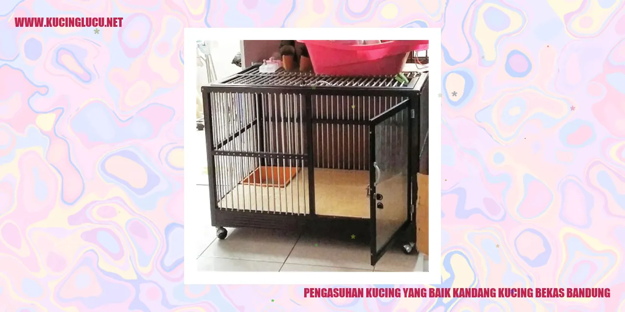 Rumah Baru mereka, Kandang Kucing Bekas di Bandung
