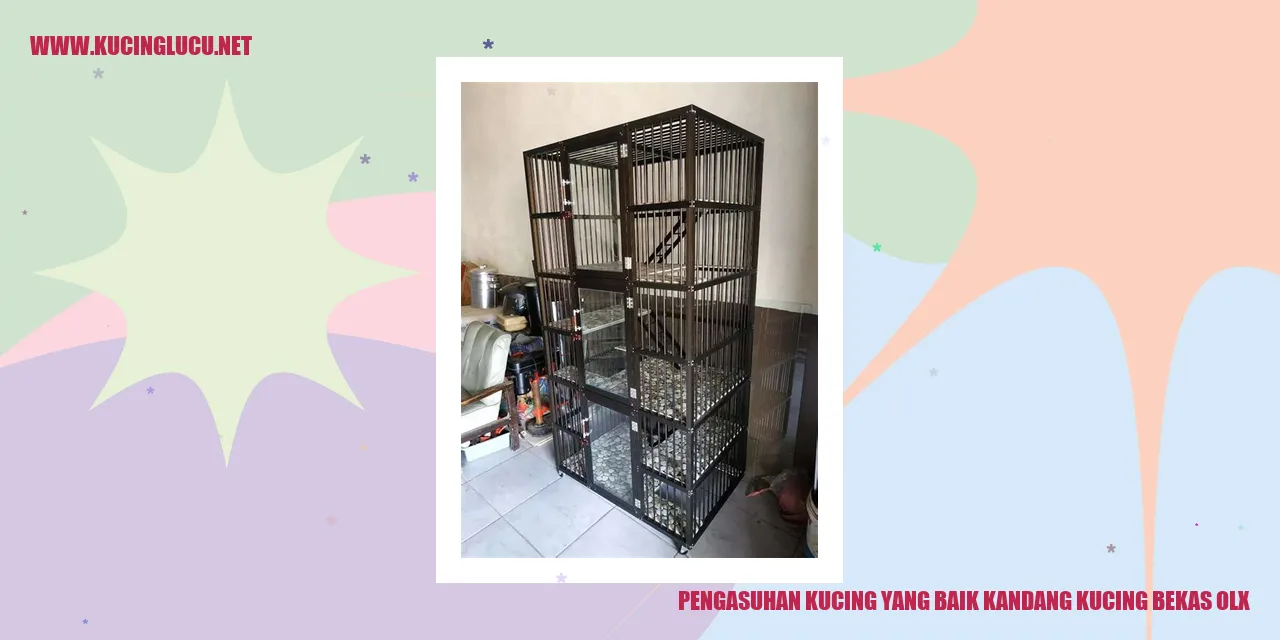 Kucing dalam kandang