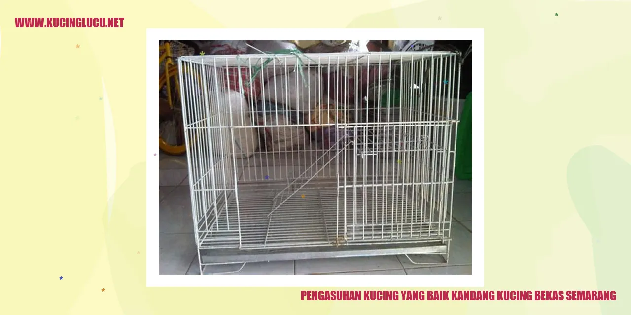 Kucing di dalam kandang