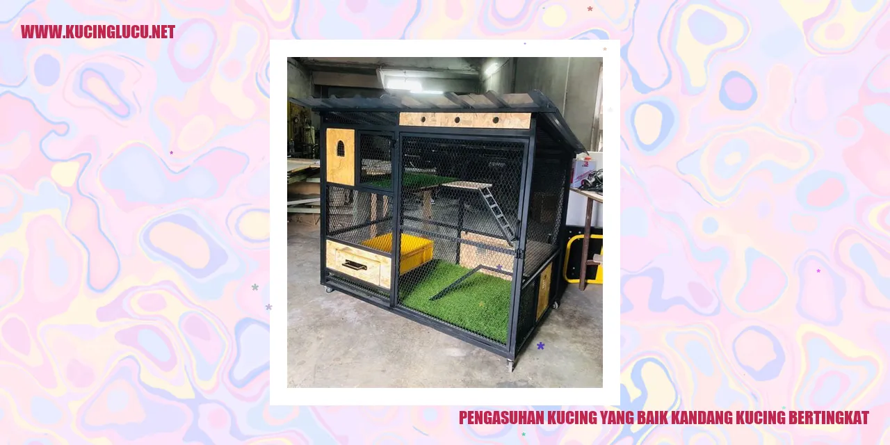 Pengasuhan Kucing yang Baik: Kandang Kucing Bertingkat