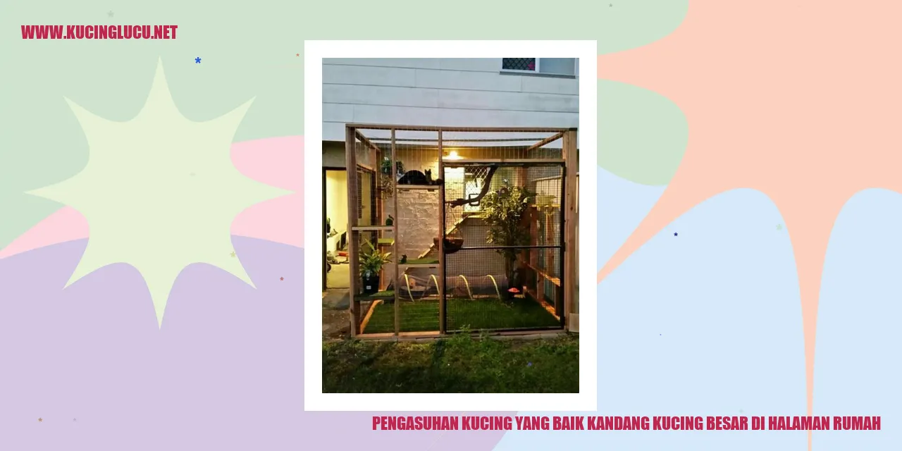 Kucing di dalam kandang