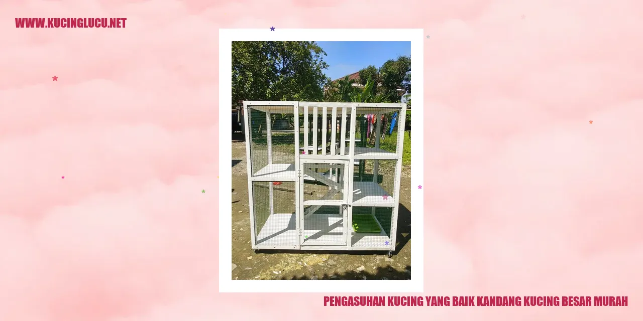 Kandang Kucing Besar