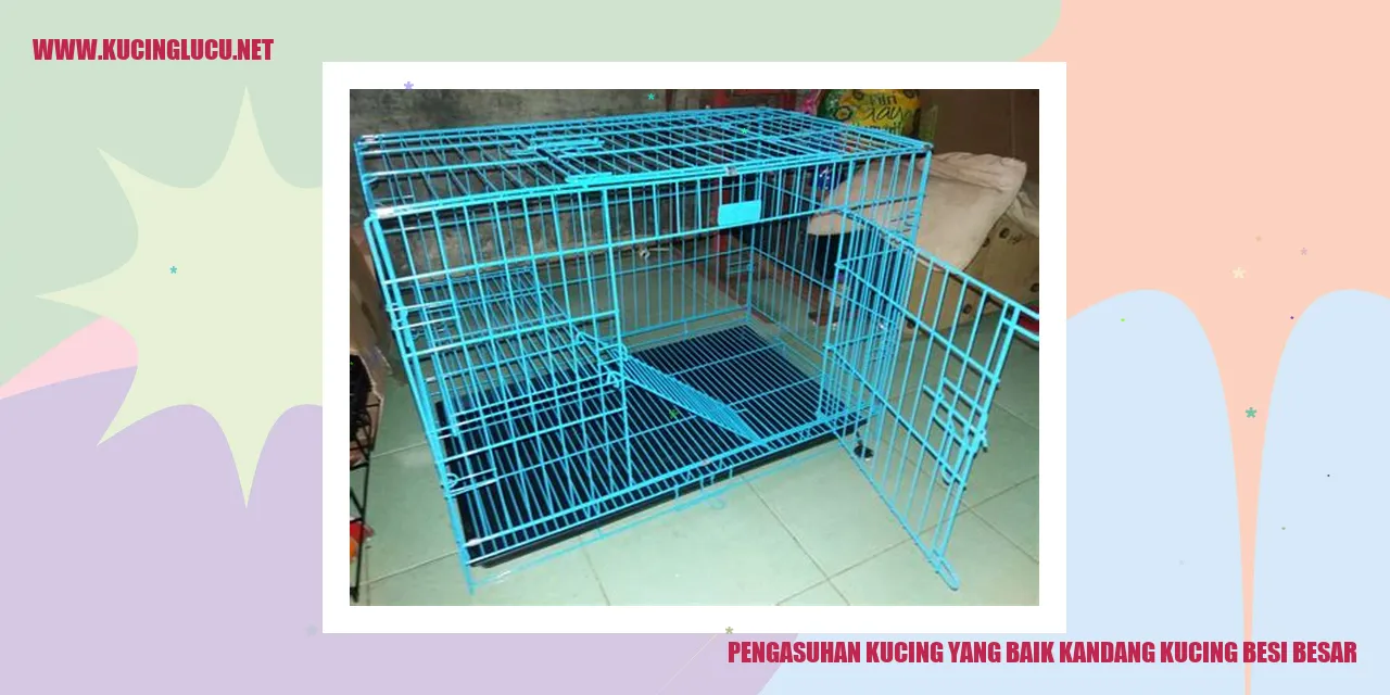 Kucing di dalam kandang besi besar