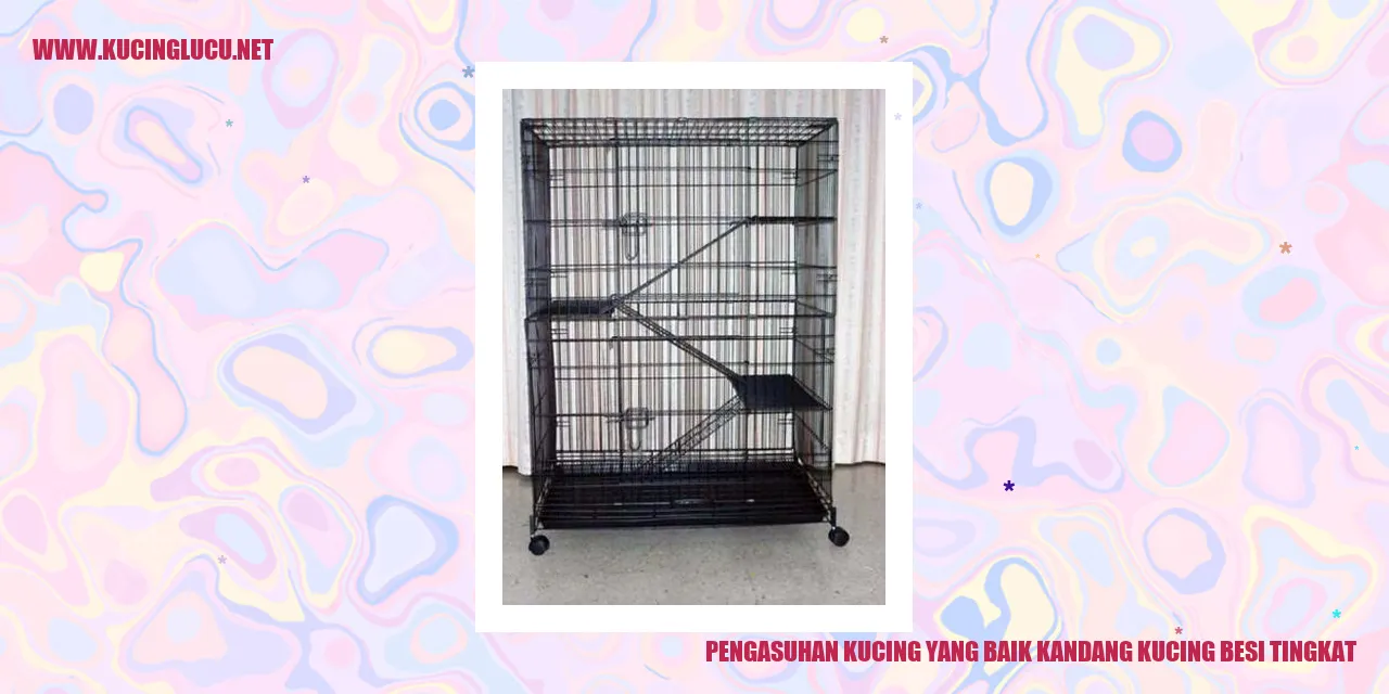 Kucing di dalam kandang besi tingkat