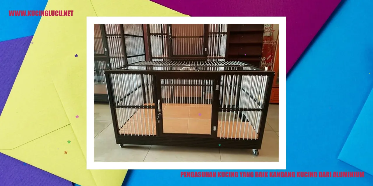 Pengasuhan Kucing yang Baik