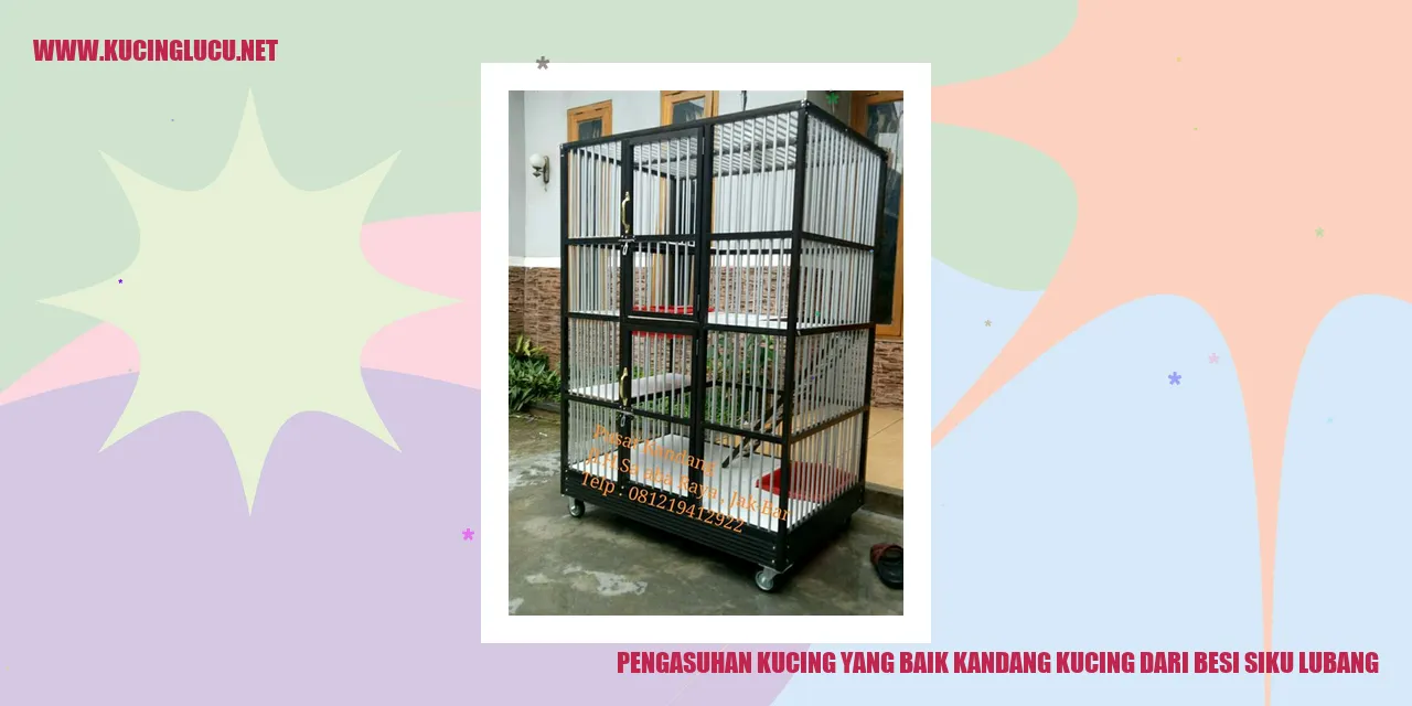 Kandang Kucing