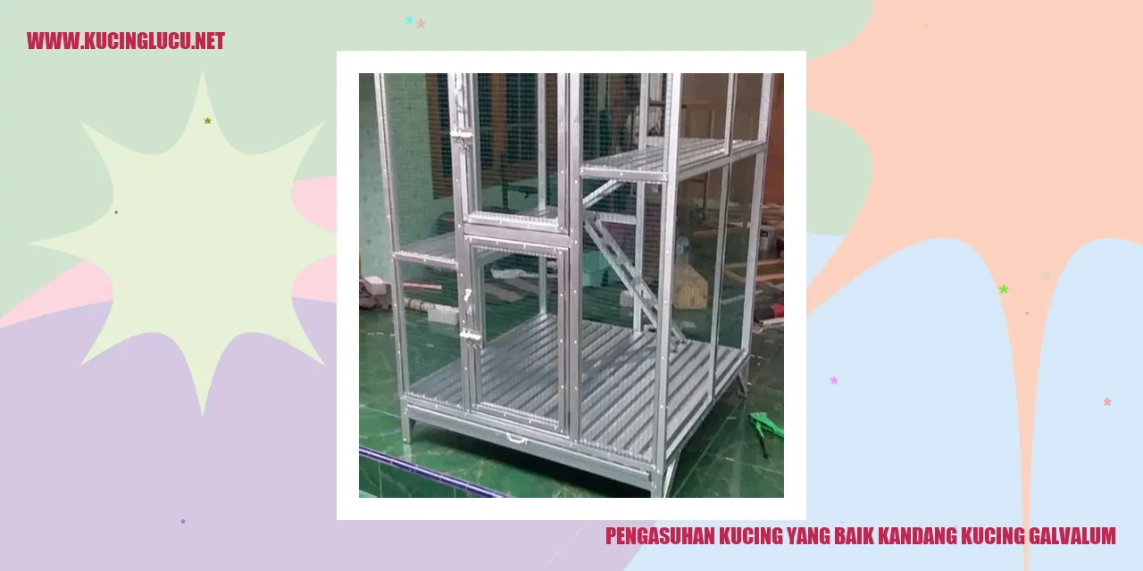 Kandang Kucing Galvalum