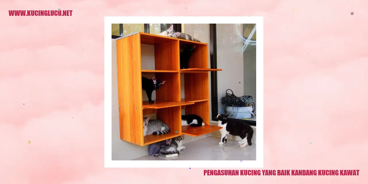 kucing di kandang kawat