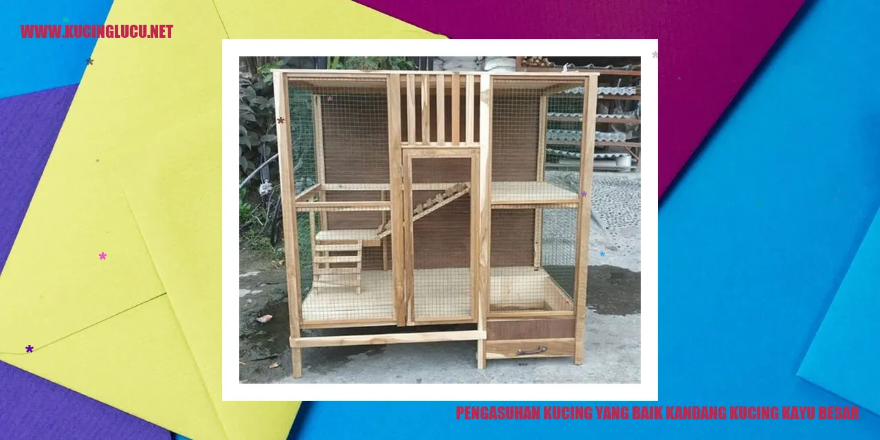 Kandang Kucing
