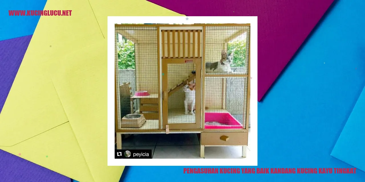 Kandang Kucing Kayu Tingkat