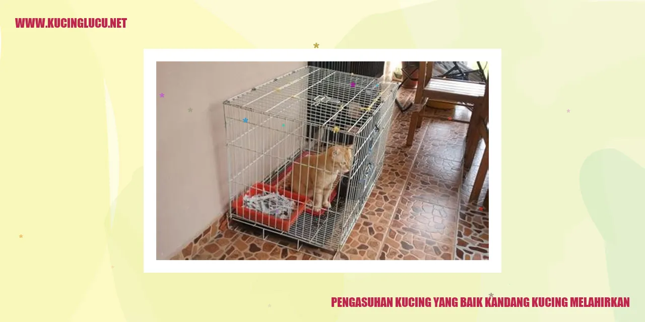 Kucing Melahirkan