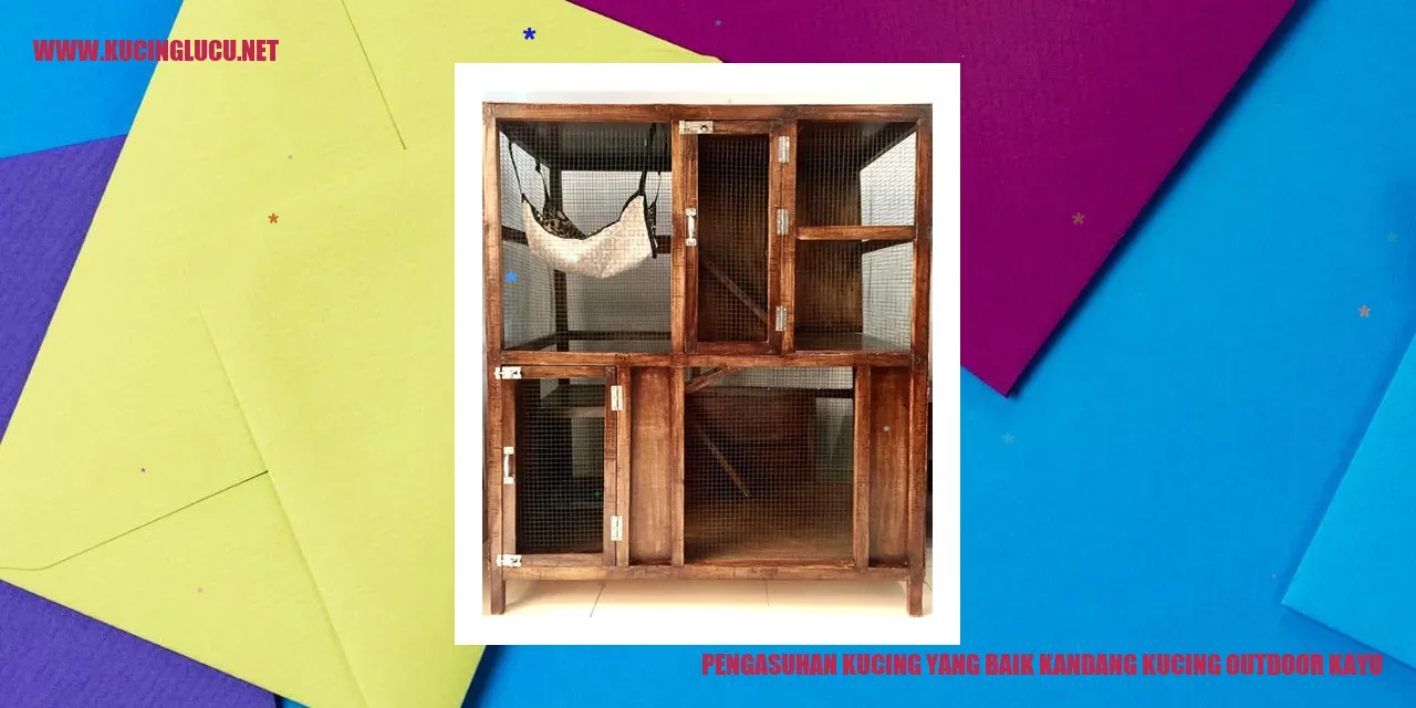 Kandang Kucing Outdoor Kayu yang Nyaman