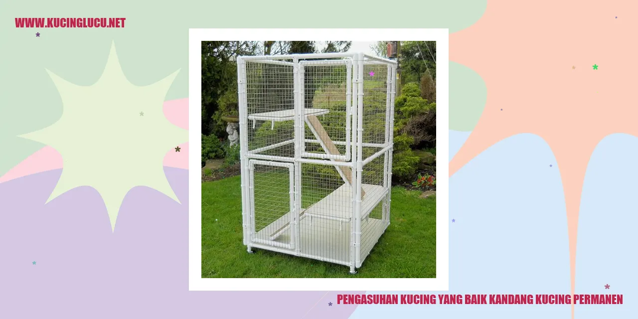 gambar kucing