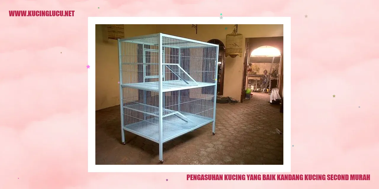 Gambar kucing