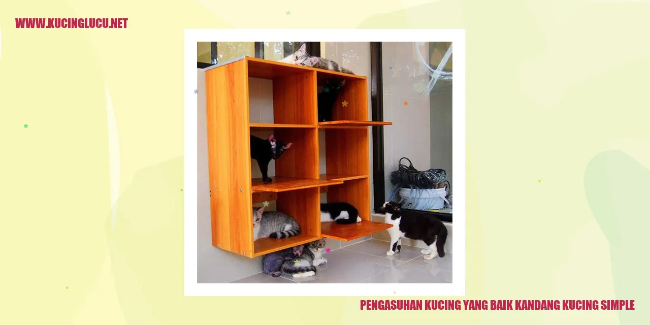 Kandang kucing yang sederhana