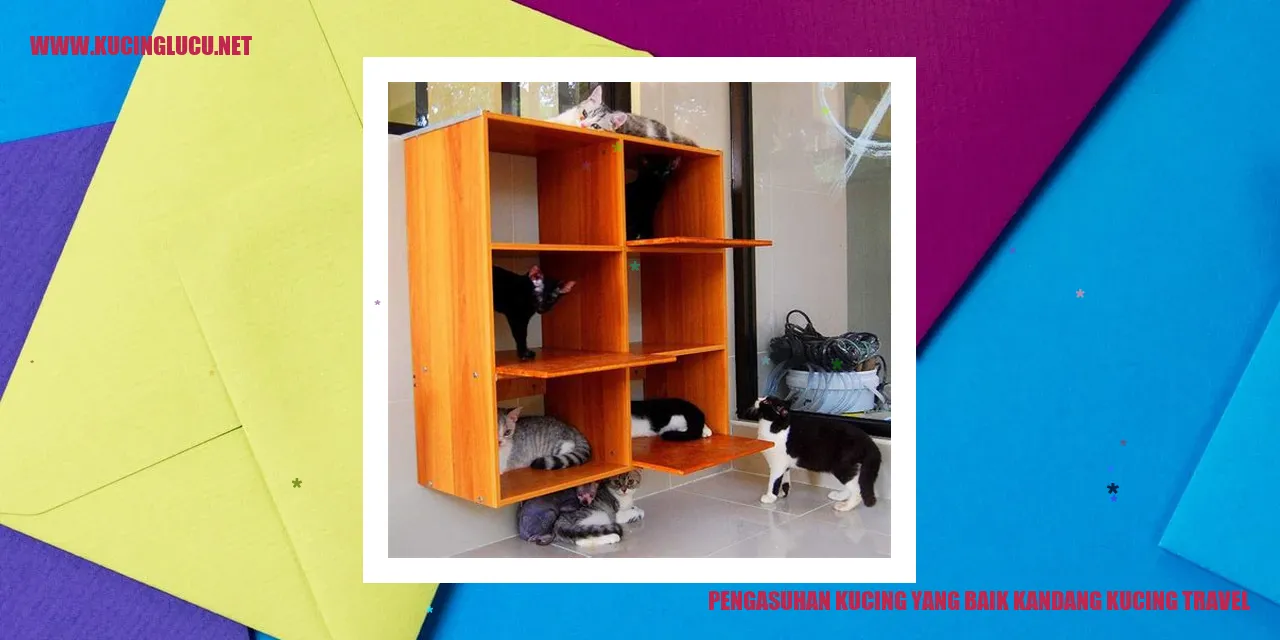 Gambar Kucing