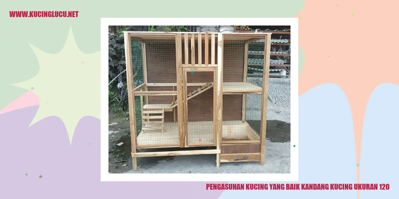 Gambar Kucing berada di dalam Kandang
