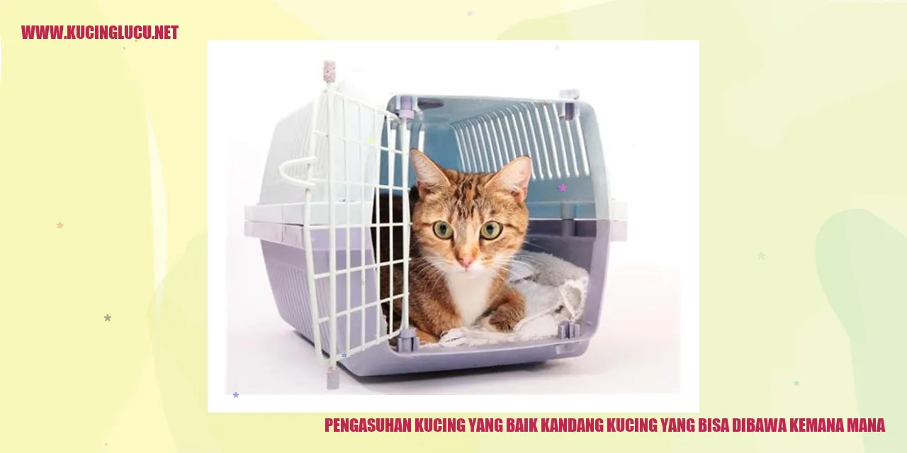 Kucing dalam kandang yang bisa dibawa kemana-mana