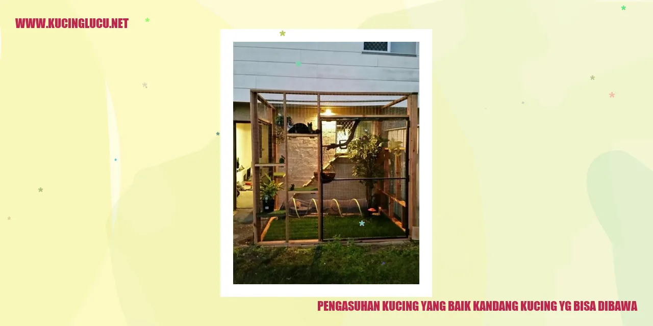 Gambar Kandang Kucing yang Mudah Dibawa