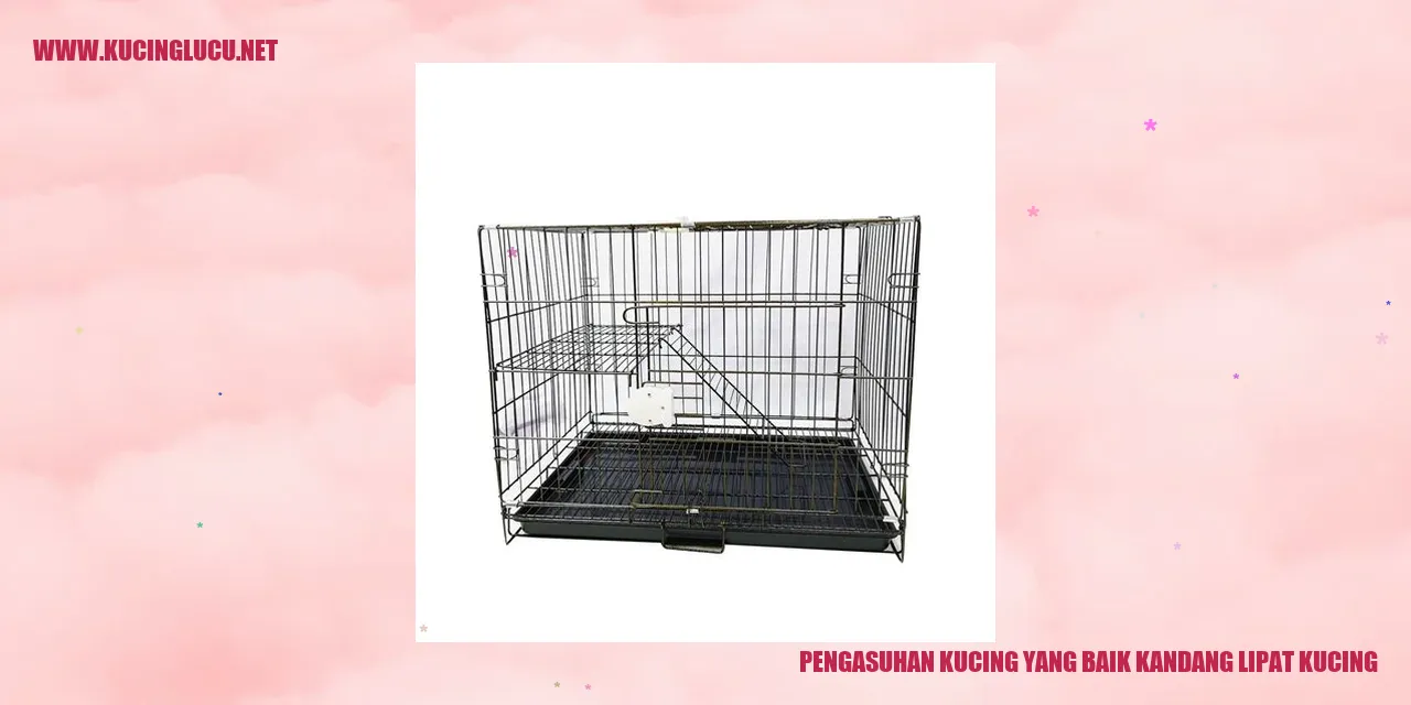 Kucing dalam Kandang Lipat Kucing
