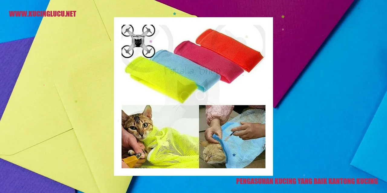 Gambar Kucing Menggemaskan