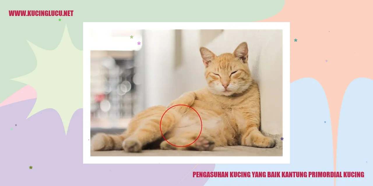 Kucing yang Bahagia
