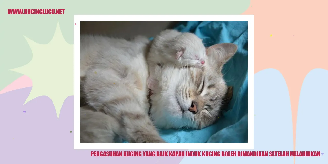 Induk kucing dengan anaknya